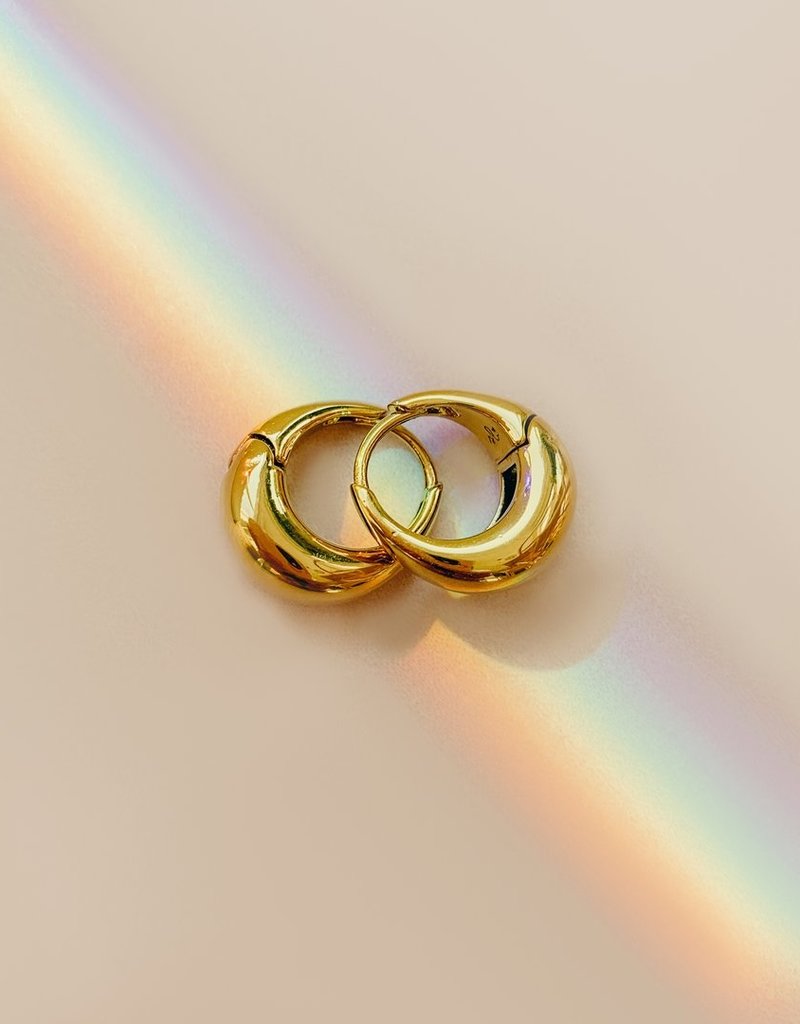 Sugar Blossom 18K Gold Plated Stainless Steel Hoops