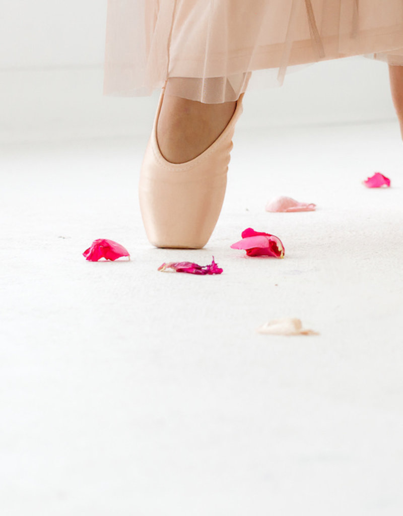 Saltwater Luxe Damon Tulle Maxi Skirt (FINAL SALE)