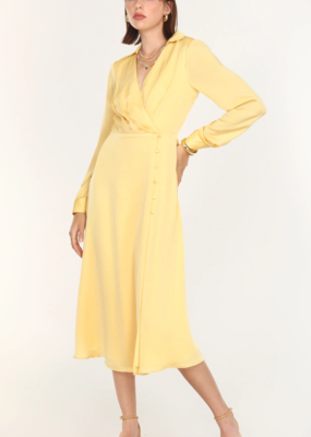 Greylin Cherie Satin Midi Dress (XS)