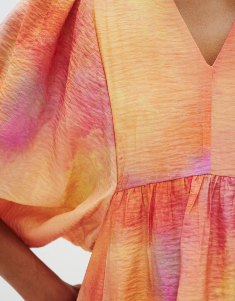 InWear Tedra Printed Dress (FINAL SALE)