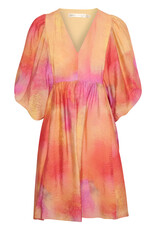 InWear Tedra Printed Dress (FINAL SALE)