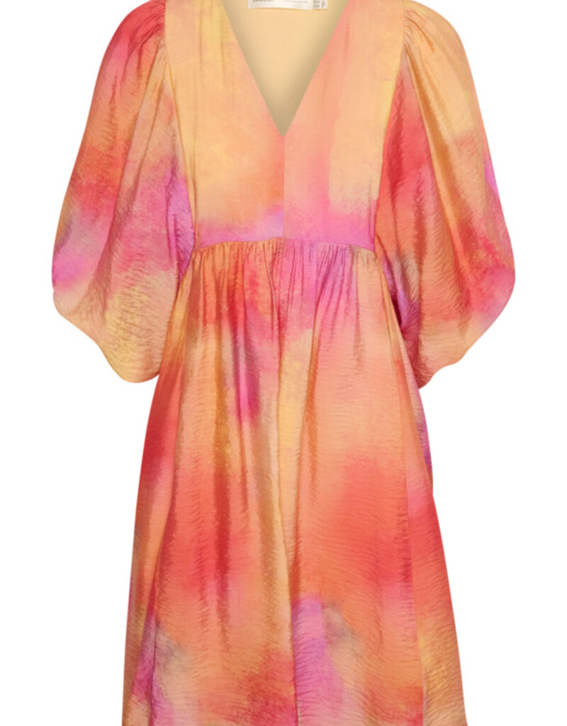 InWear Tedra Printed Dress (FINAL SALE)