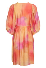 InWear Tedra Printed Dress (FINAL SALE)