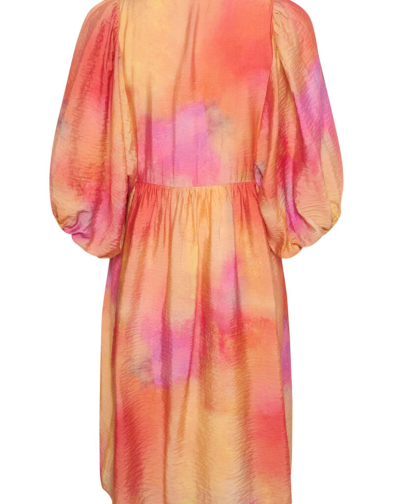 InWear Tedra Printed Dress (FINAL SALE)