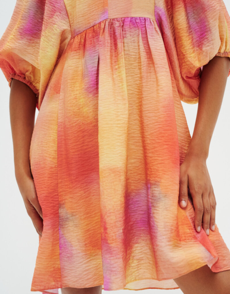 InWear Tedra Printed Dress (FINAL SALE)