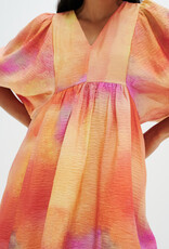 InWear Tedra Printed Dress (FINAL SALE)