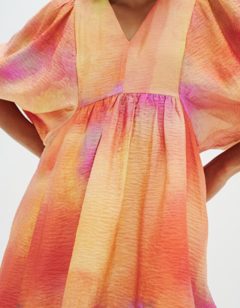 InWear Tedra Printed Dress (FINAL SALE)