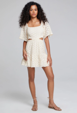 Saltwater Luxe Nova Mini Dress (FINAL SALE)