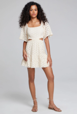 Saltwater Luxe Nova Mini Dress