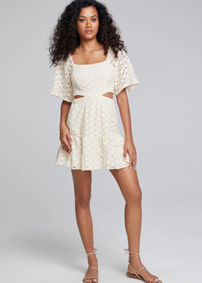 Saltwater Luxe Nova Lace Mini Dress