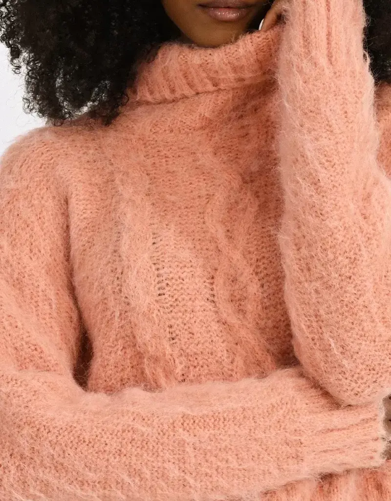 Molly Bracken Polly Cable Turtleneck