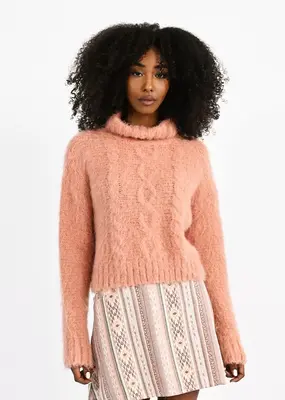 Molly Bracken Polly Cable Turtleneck
