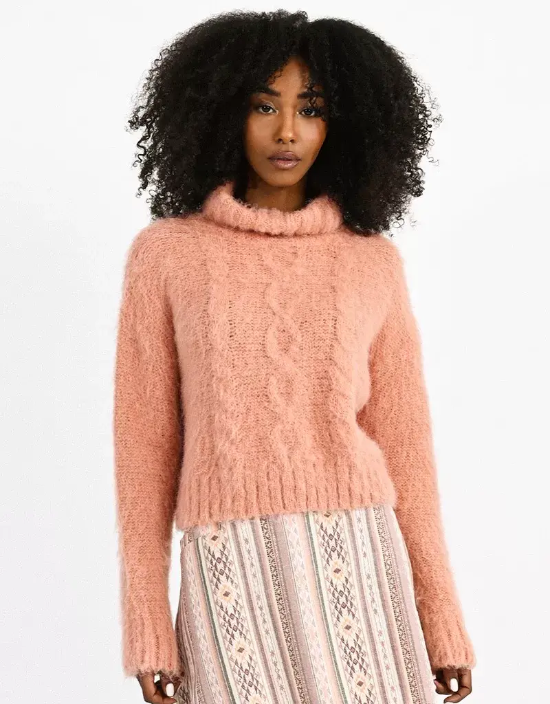Molly Bracken Polly Cable Turtleneck