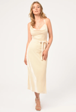 Adelyn Rae Zana Velvet Cowl Neck Slip Dress (FINAL SALE)