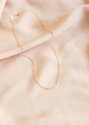 Lavender & Grace Sloan Chain Necklace