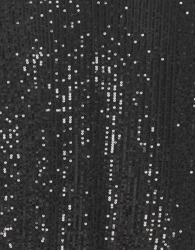 B.Young Solia Sequin Blazer (FINAL SALE)