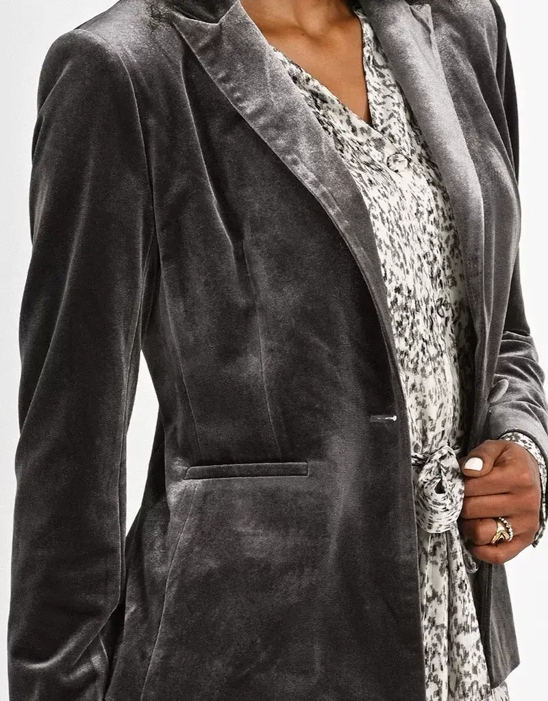 Molly Bracken Della Velvet Blazer