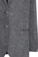 ICHI Dunna Glittery Blazer