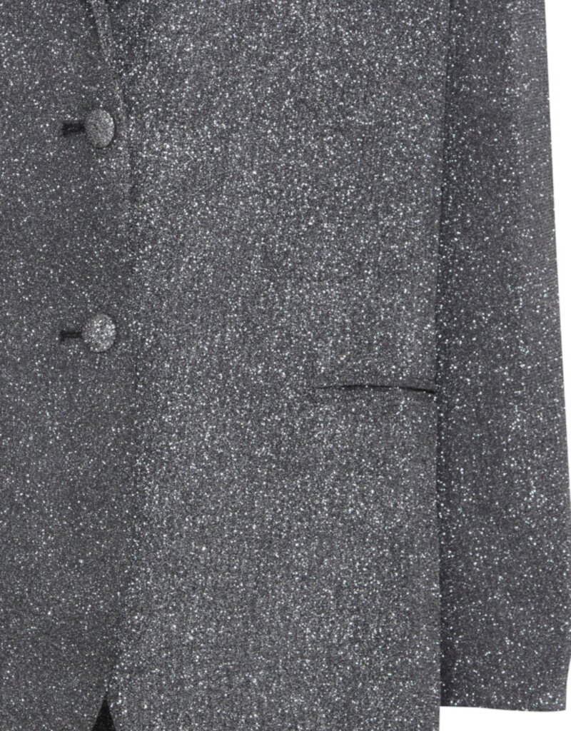 ICHI Dunna Glittery Blazer