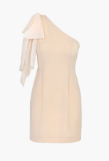 Adelyn Rae Avery One Shoulder Tie Mini Dress (FINAL SALE)