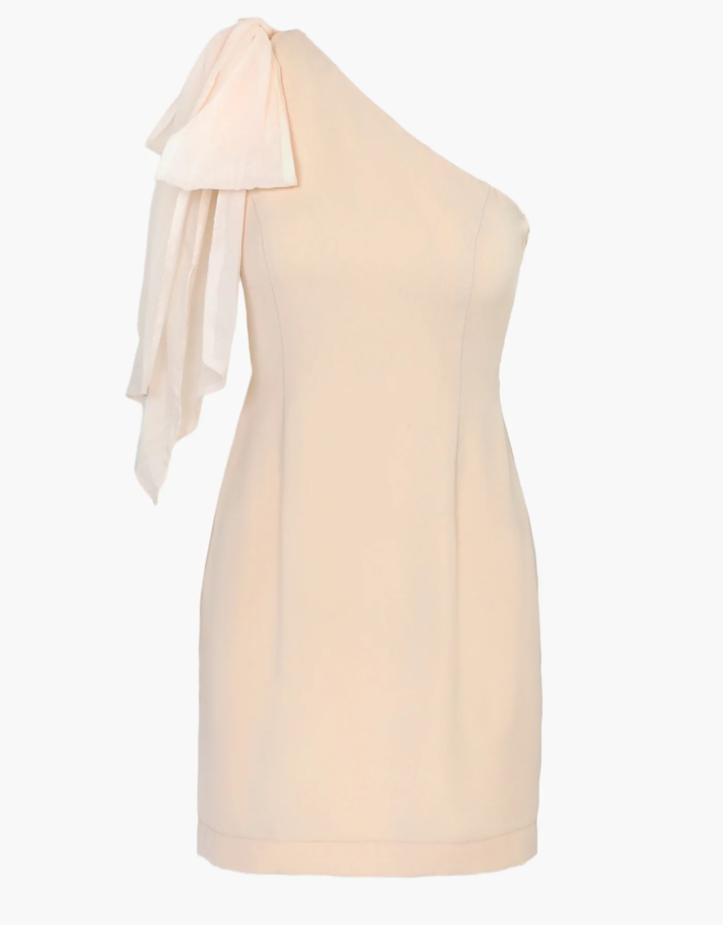 Adelyn Rae Avery One Shoulder Tie Mini Dress (FINAL SALE)