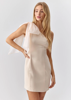 Adelyn Rae Avery One Shoulder Tie Mini Dress *Two Colours*