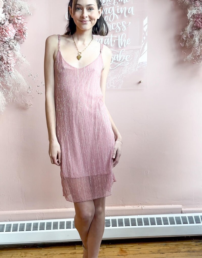 ASTRID Sipping Bubbly Dress (FINAL SALE)