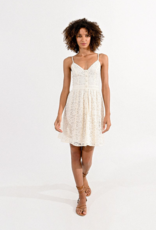 Molly Bracken Arlynn Lace Mini Dress (FINAL SALE)