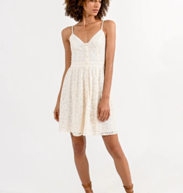 Molly Bracken Arlynn Lace Mini Dress