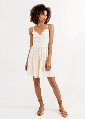 Molly Bracken Arlynn Lace Mini Dress