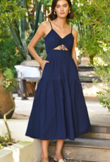 Greylin Iris Midi Dress