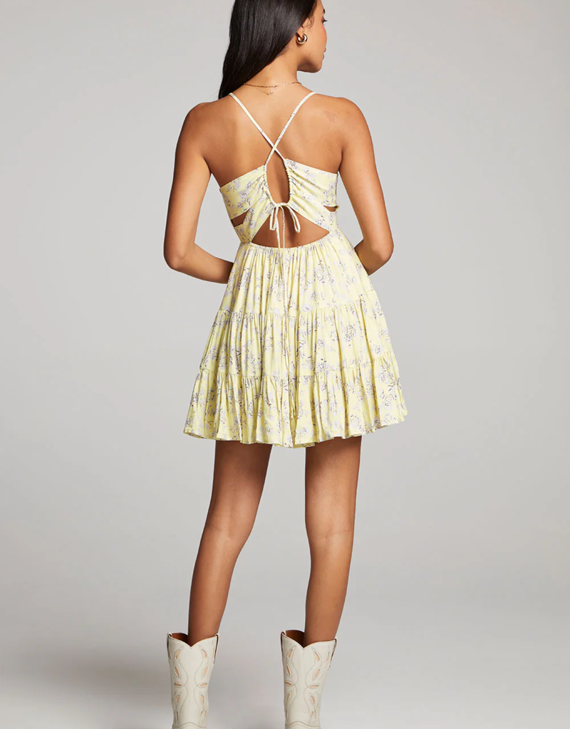 Saltwater Luxe Janessa Mini Dress
