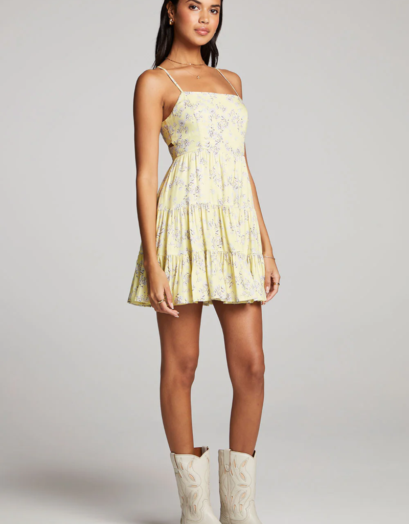 Saltwater Luxe Janessa Mini Dress