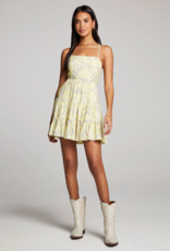 Saltwater Luxe Janessa Mini Dress