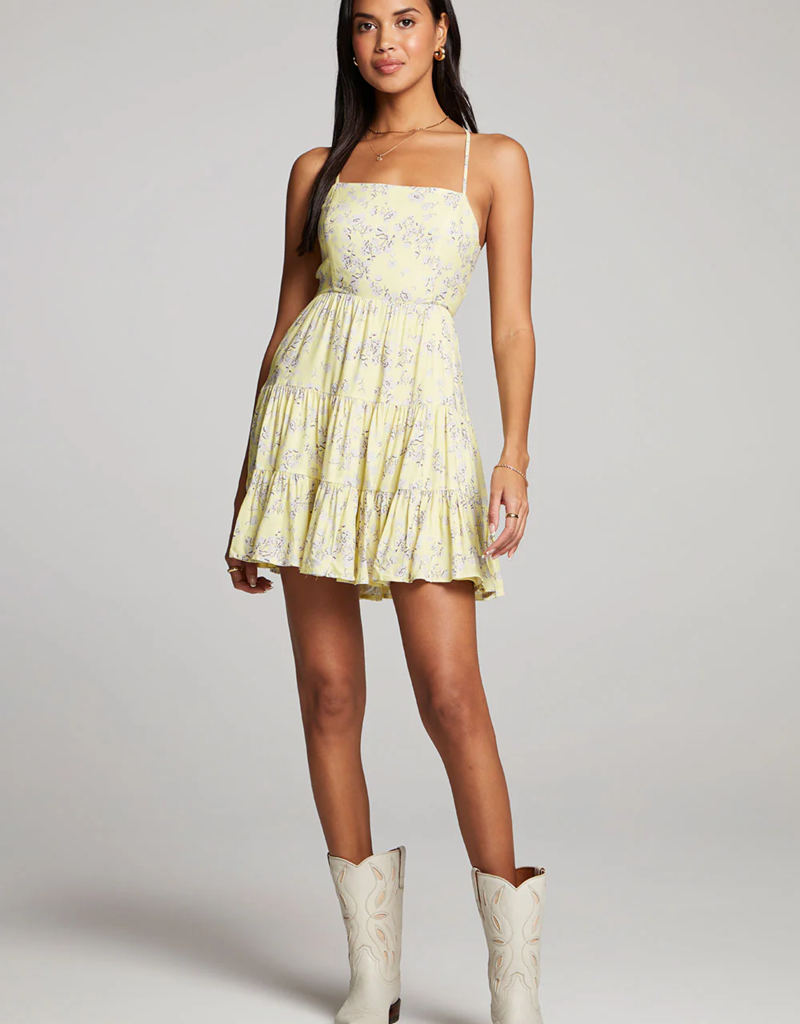 Saltwater Luxe Janessa Mini Dress