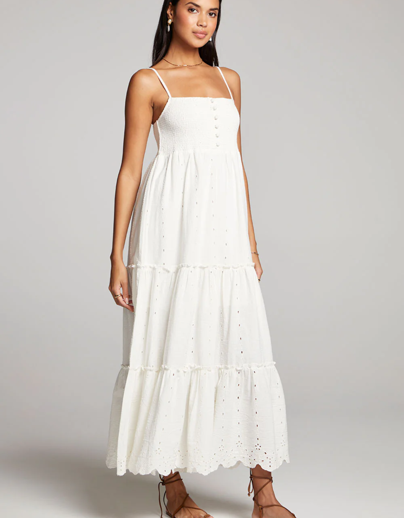 Saltwater Luxe Gabriela Maxi Dress