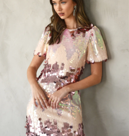 Adelyn Rae Verona Paillette Mini Dress *Large & XL*