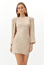 Adelyn Rae Maddy Sequin Bodycon Dress