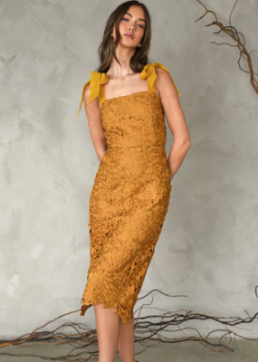 Adelyn Rae Frankie Tie Shoulder Lace Dress **SMALL, X-SMALL**