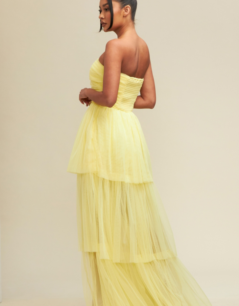 Luxxel Lara Tiered Tulle Maxi Dress