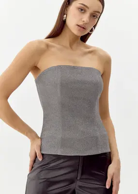 Greylin Catalina Metallic Shimmer Tube Top