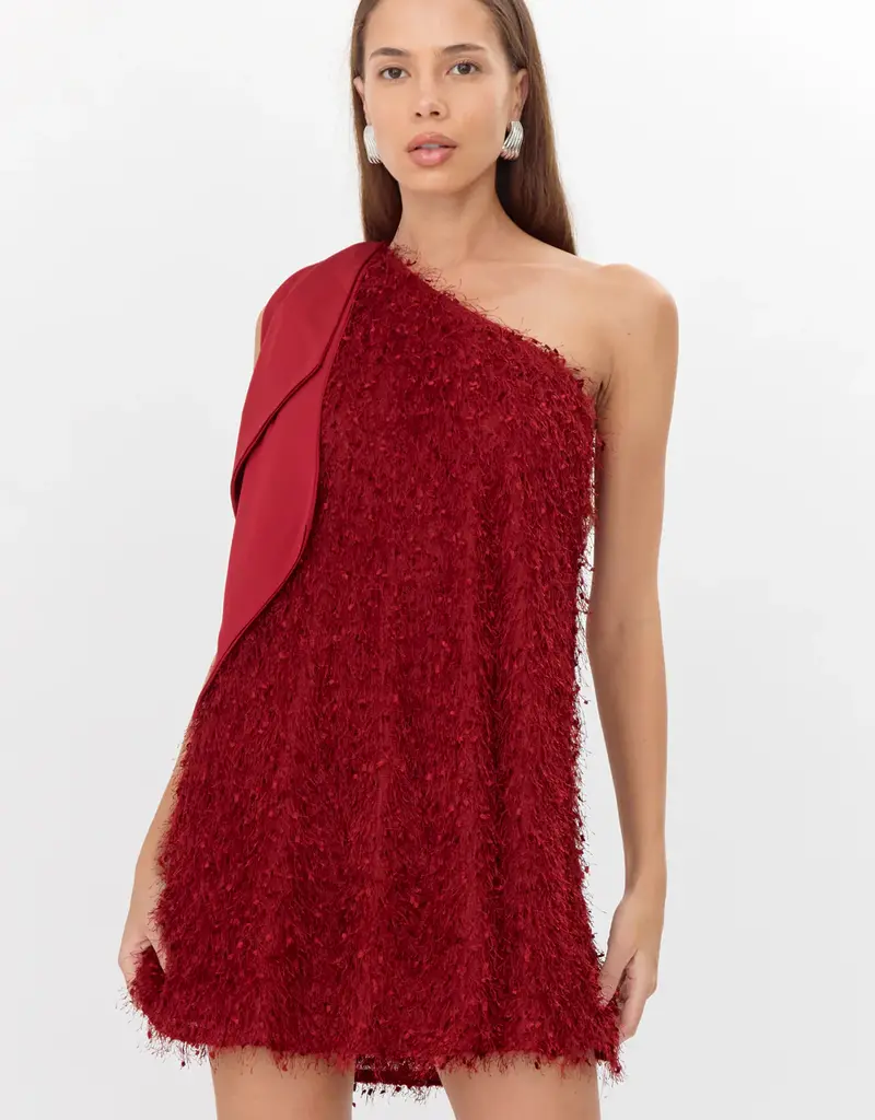 Adelyn Rae Elisha One Shoulder Fringe Mini Dress
