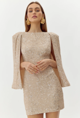 Adelyn Rae Maddy Sequin Bodycon Dress