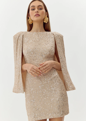 Adelyn Rae Maddy Sequin Bodycon Cape Dress