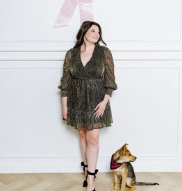 Molly Bracken Alda Metallic Dress *Only One Left - XS*