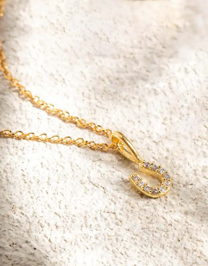 Leah Alexandra Tiny Horseshoe Necklace - CZ