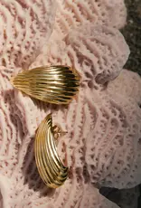 Leah Alexandra Shell Earrings - Gold