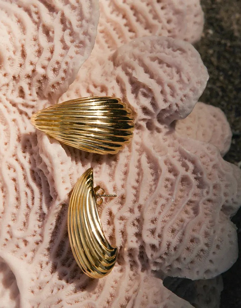 Leah Alexandra Shell Earrings - Gold