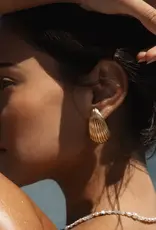 Leah Alexandra Shell Earrings - Gold