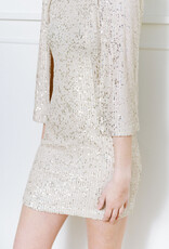 Adelyn Rae Maddy Sequin Bodycon Dress